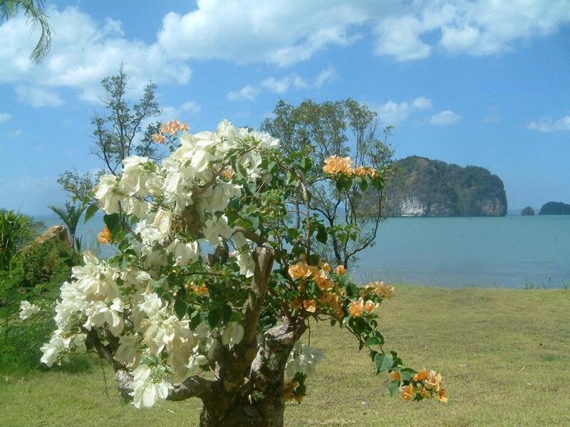 Tha Lane Bay Villas Εξωτερικό φωτογραφία